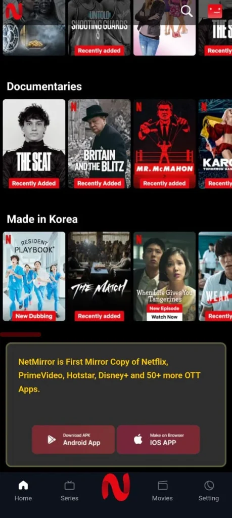netmirror